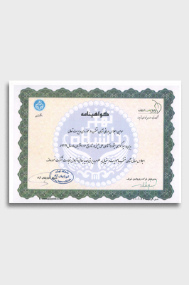 گواهینامه اجلاس جهانی نشان منتخب گواهینامه اجلاس جهانی نشان منتخب